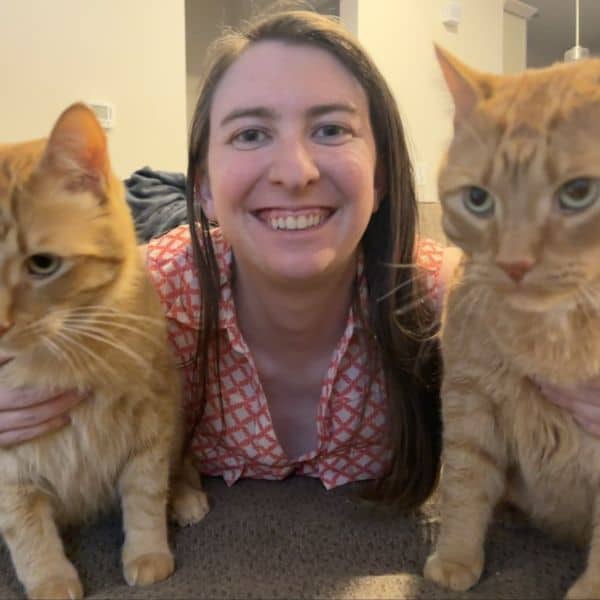 Pet sitting service with caring for cats in a cozy home environment.