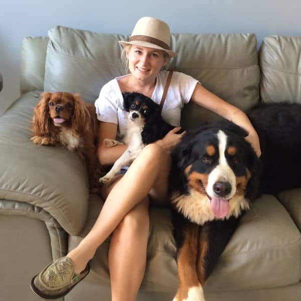 Woman with three dogs on sofa, pet sitting service, dog care, pet sitting, Lakeside Pet Sitting.
