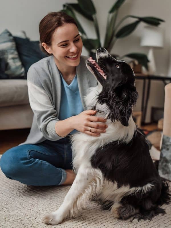 Our Mission is to Give Pet Parents Peace of Mind That Their Loved Ones are in Good Hands