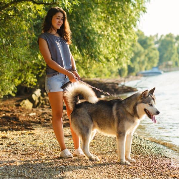 Woman walking her husky dog along a lakeside trail on a sunny day.