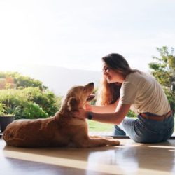 overnight pet sitting Mooresville, Huntersville, Troutman & Cornelius