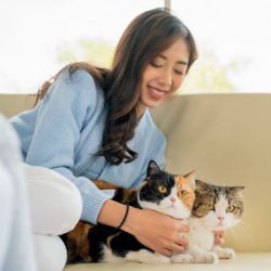 pet sitting Mooresville, Huntersville, Troutman & Cornelius