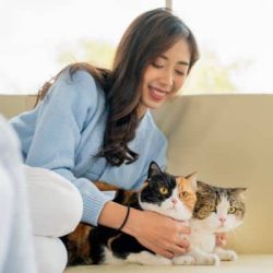 Pet sitting with caring professionals for your cats and small animals. Reliable, loving pet care ser.